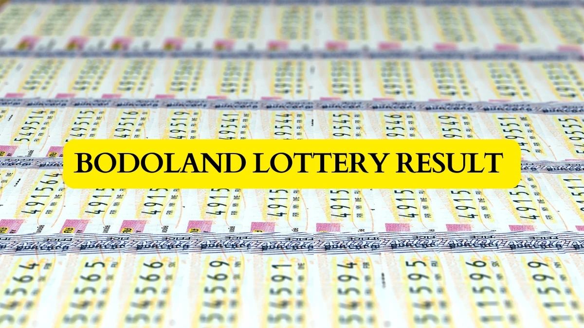 Bodoland Lottery Result Today 11-02-2026 3 PM : Check Assam State Bodoland Lottery Full Winners Lists here