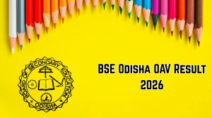 BSE Odisha OAV Result 2026 Released – Direct Link to Download Scorecard Here BSE Odisha OAV Result 2026 Released – Direct Link to Download Scorecard Here