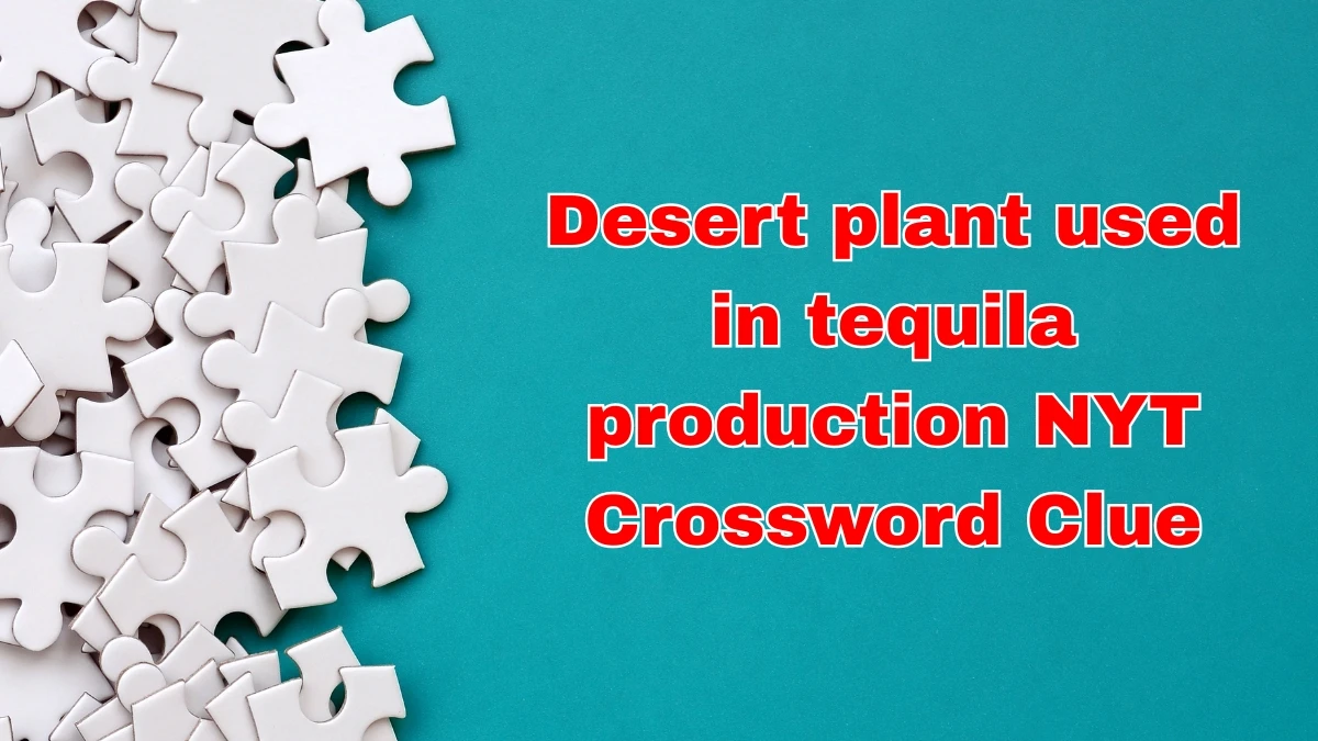 Desert plant used in tequila production NYT Crossword Clue