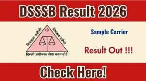 DSSSB Sample Carrier Result 2026 - Download Scorecard @dsssb.delhi.gov.in