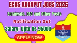 ECHS Koraput Recruitment 2026 - Apply Offline for 09 Safaiwala, DEO and Other Posts
