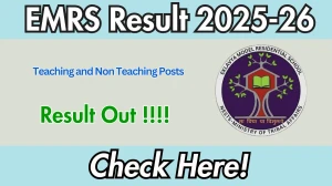 EMRS Result 2025-26 OUT - Download Scorecard @nests.tribal.gov.in