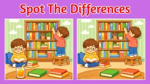 Find the 3 Differences in 10 Seconds in This Boys Picture