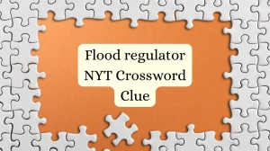 Flood regulator NYT Crossword Clue