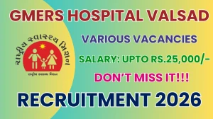 GMERS Hospital Valsad Recruitment 2026 - Apply Online for 04 Data Entry Manager, Pharmacist and More Posts
