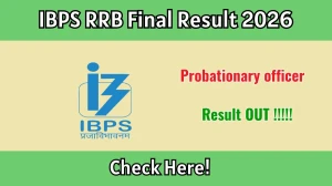 IBPS RRB PO Final Result 2026 - Download Scorecard @ibps.in