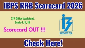 IBPS RRB XIV Office Assistant, Scale-I, II, III Scorecard 2026 - Download Scorecard @ibps.in