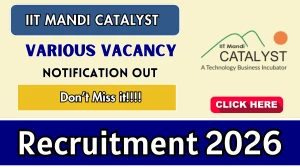 IIT Mandi Recruitment 2026 - Apply Offline Catalyst Executive, Associate, and More