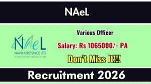 NAeL Recruitment 2026 - Apply Online for 02 Senior Human Resource Officer, Senior Finance Officer Posts