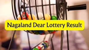 Nagaland Dear Lottery Result Today 02/02/2026 1 PM OUT: Check all Dear Rise Morn...