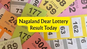 Nagaland Dear Lottery Result Today 02/03/2026 6 PM : Check all Dear Shine Morning Tuesday Winning Numbers Here