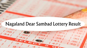 Nagaland Dear Lottery Result Today 02/04/2026 1 PM : Check all Dear Spark Morning Wednesday Winning Numbers Here