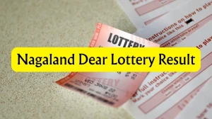 Nagaland Dear Lottery Result Today 06/02/2026 1 PM OUT: Check all Dear Victory Morning Friday Winning Numbers Here