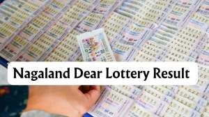 Nagaland Dear Lottery Result Today 07/02/2026 1 PM OUT: Check all Dear Vision Morning Saturday Winning Numbers Here