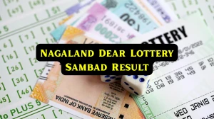 Nagaland Dear Lottery Result Today 10/02/2026 1 PM : Check all Dear Shine Morning Tuesday Winning Numbers Here