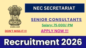 NEC Secretariat Senior Consultants Recruitment 2026 - Apply Offline