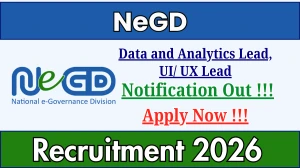 NeGD Recruitment 2026 - Apply Online for 02 Data and Analytics Lead, UI/ UX Lead Posts