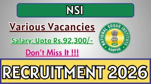 NSI Recruitment 2026 - Apply Offline for 04 Research Assistant, Draughtsman and More Posts