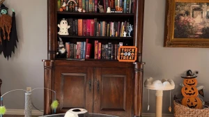 Only Eagle Eyes Can Spot the Hidden Cat in This Halloween-Themed Bookshelf – Can You Find It?