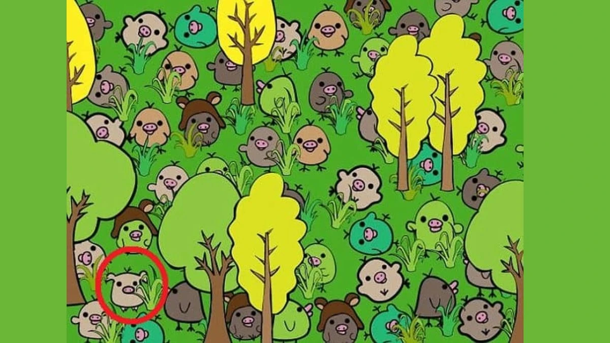 Optical Illusion Challenge: A Pig Is Hidden Among Birds-Can You Find It in 15 Seconds?