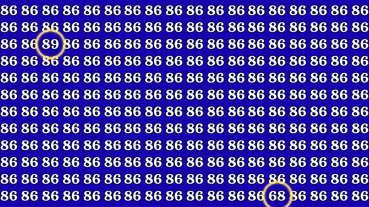 Optical Illusion Eye Challenge: Within 9 Seconds Spot the Number 89 and 68 among 86