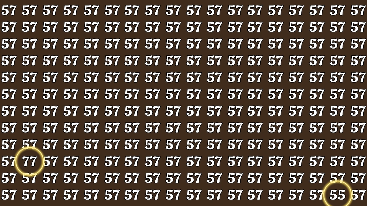 Optical Illusion Eye Test Challenge: Within 8 Seconds Spot the Number 77 and 55 among 57