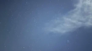 Optical Illusion IQ Test: Can You Spot The Penguin Among In 5 Seconds?