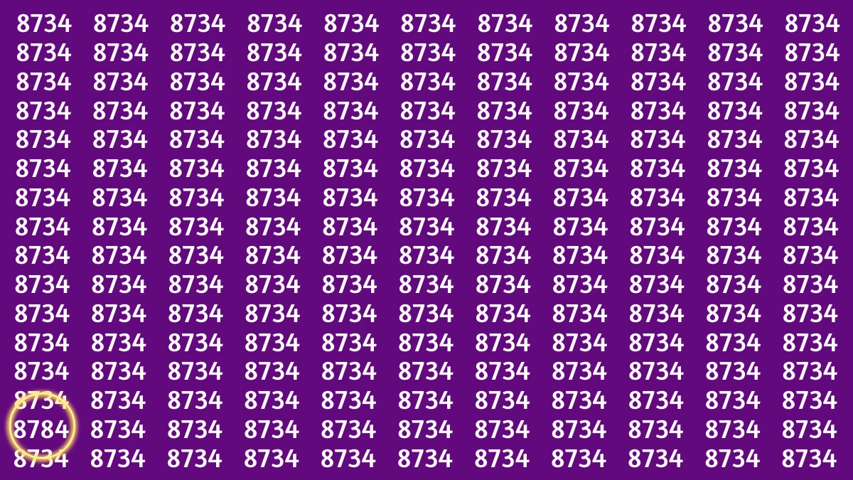 Optical Illusion Puzzle IQ Test: Within 8 Seconds Spot The Number 8784 among 8734