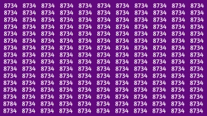 Optical Illusion Puzzle IQ Test: Within 8 Seconds Spot The Number 8784 among 8734