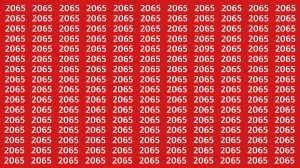 Optical Illusion Puzzle IQ Test: Within 9 Seconds Spot the Number 2095 among 2065