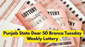 Punjab State Dear 50 Bronco Tuesday Weekly Lottery Result 10.02.2026 5 PM OUT Check Winning Numbers and Prize Details