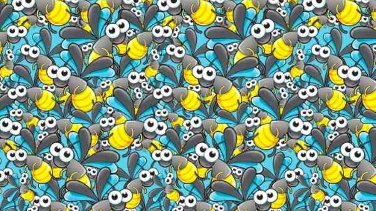 Seek and Find Challenge: Can You Spot the Hidden Ant Among the Bees?