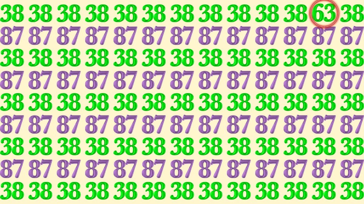 Optical Illusion: Within 8 Seconds Spot the Number 63 among 38 and 87