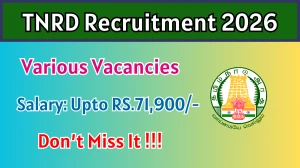 TNRD Recruitment 2026 - Apply Offline for 09 Office Assistant, Night Watchman and More Posts