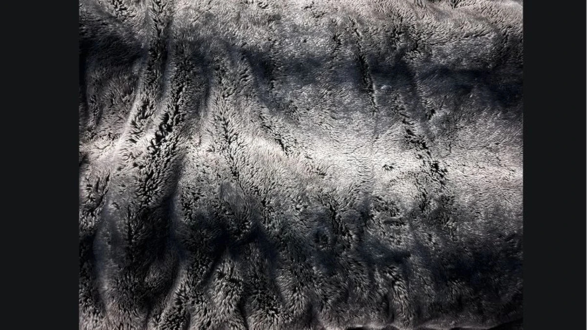 Viral Optical Illusion: Only Sharp Eyes Can Find the 2 Camouflaged Spiral Hair Pins on This Faux Fur Blanket