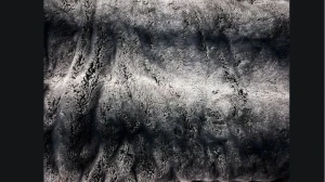 Viral Optical Illusion: Only Sharp Eyes Can Find the 2 Camouflaged Spiral Hair Pins on This Faux Fur Blanket