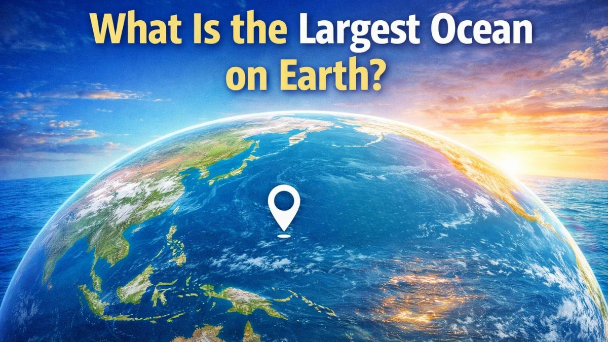 What Is the Largest Ocean on Earth?