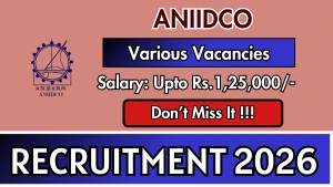 ANIIDCO Recruitment 2026 - Apply Offline for 12 Senior Consultant, Consultant and More