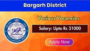 Bargarh District Recruitment 2026 - Apply Online for District Project Coordinator, District Accountant and Other Posts