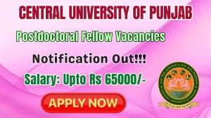 Central University of Punjab Postdoctoral Fellow Recruitment 2026 - Apply Online