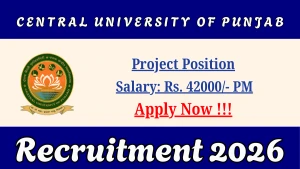 Central University of Punjab Project Position Recruitment 2026 - Walkin
