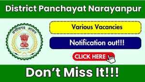 District Panchayat Narayanpur Recruitment 2026 - Apply Offline for Block Project Manager, Regional Coordinator Posts