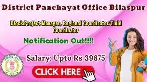 District Panchayat Office Bilaspur Recruitment 2026 - Apply Online for Block Project Manager, Regional Coordinator/Field Coordinator Posts