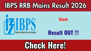 IBPS RRB Clerk Mains Result 2026 OUT (Direct Link) - Download Scorecard @ ibps.in