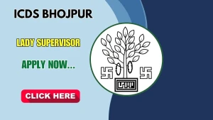 ICDS Bhojpur Lady Supervisor Recruitment 2026 - Apply Online for 29 Posts