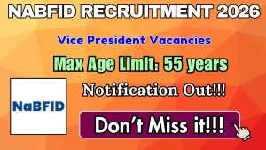 NaBFID Vice President Recruitment 2026 - Apply Online