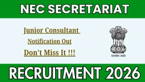 NEC Secretariat Junior Consultant Recruitment 2026 - Apply Offline NEC Secretariat Junior Consultant Recruitment 2026 - Apply Offline