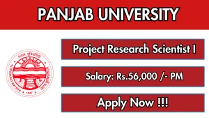 NeGD Senior AI/ML Engineer Recruitment 2026 - Apply Online NeGD Senior AI/ML Engineer Recruitment 2026 - Apply Online