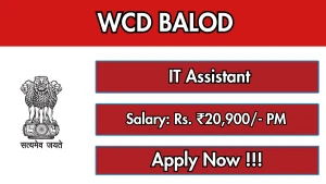 WCD Balod IT Assistant Recruitment 2026 - Apply Offline