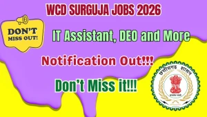 WCD Surguja Recruitment 2026 - Apply Offline for IT Assistant, DEO and More Posts